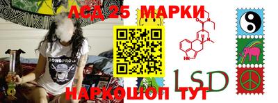 прущие грибы Гудермес
