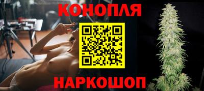 прущие грибы Гудермес