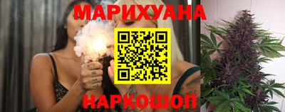 прущие грибы Гудермес