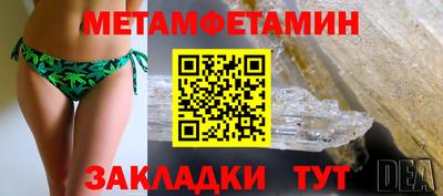 прущие грибы Гудермес