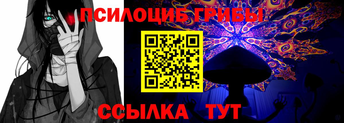 Галлюциногенные грибы Magic Shrooms  наркошоп  Вход с VPN  Нижний Новгород  Псилоцибиновые грибы ЛСД 