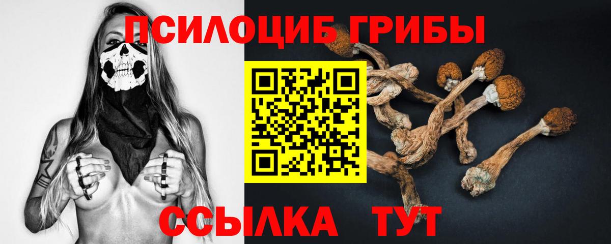Псилоцибиновые грибы GOLDEN TEACHER Нижний Новгород